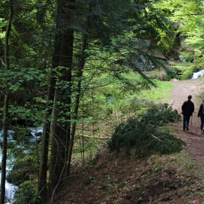 LAVEISSIERE : Moulin de Chambeuil. Visite passionnés d'Ici