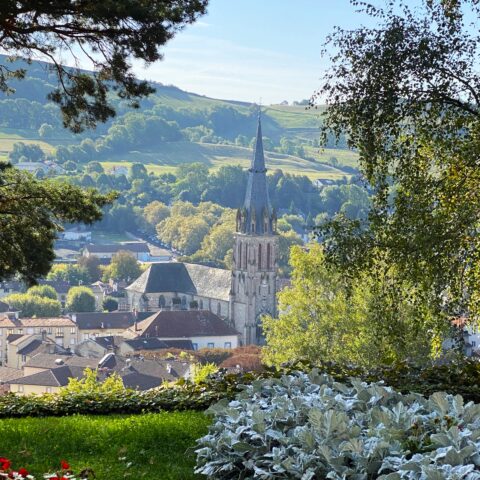Aurillac Abbaye Saint-Géraud vue du Château Saint-Etienne