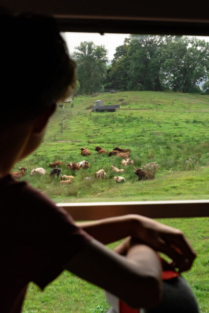 Train touristique Gentiane Express