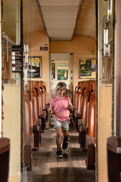 Train touristique Gentiane Express