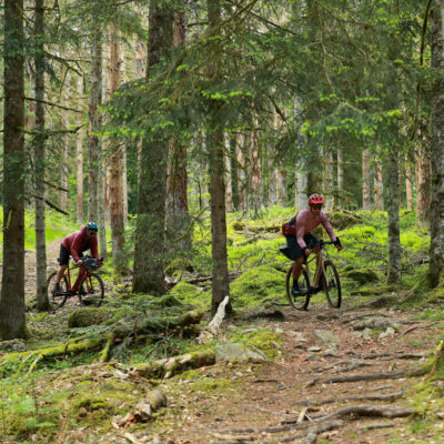 Gravel Cantal : en forêt en Sumène-Artense