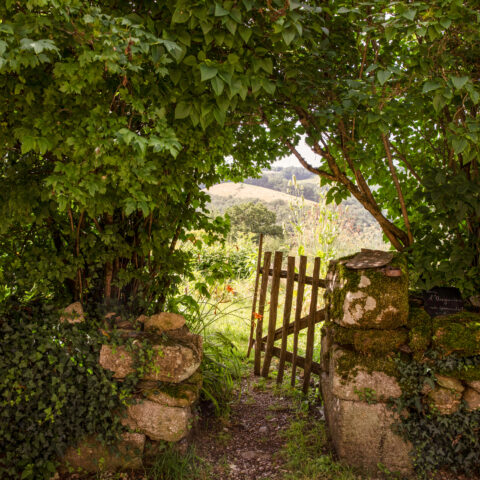 Maison de la Châtaigne à Mourjou