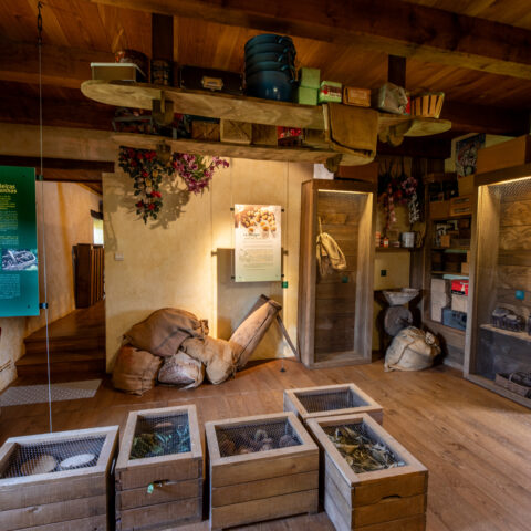 Maison de la Châtaigne