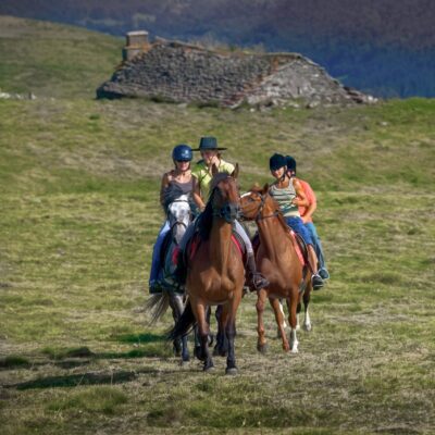 Randonnées équestres