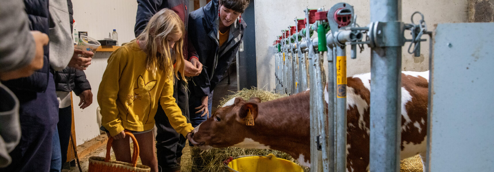 La route des savoir-faire du Cantal - Visite producteur de fromage Ferme du Griou à Saint-Jacques des Blats