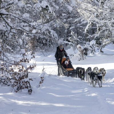 Activités neige : Balade en chiens de traîneau