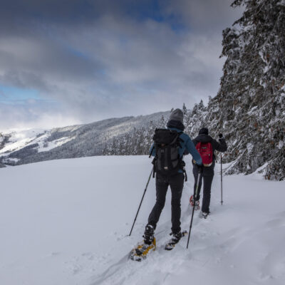 Activités d'hiver : Randonnée raquettes au Col de Légal