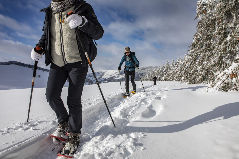 Randonnée Raquettes